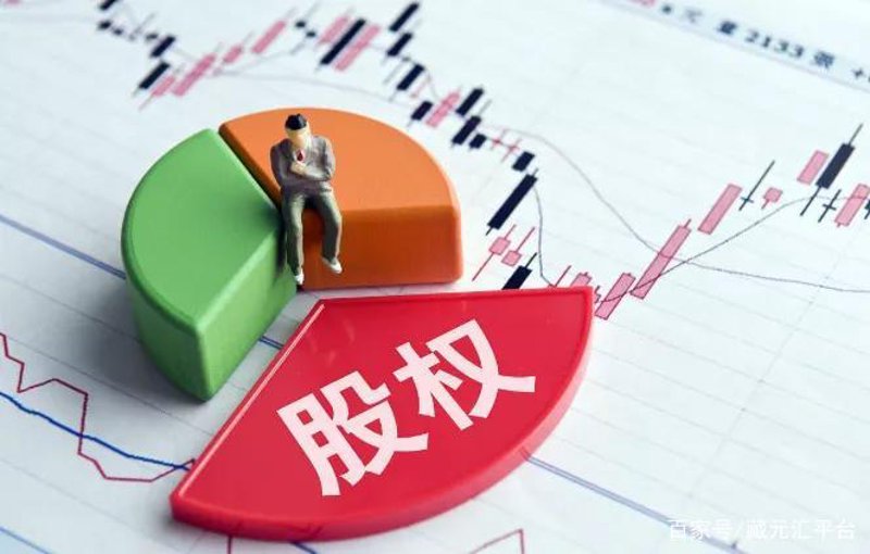 股权投资的风向标:最新行业动态分析