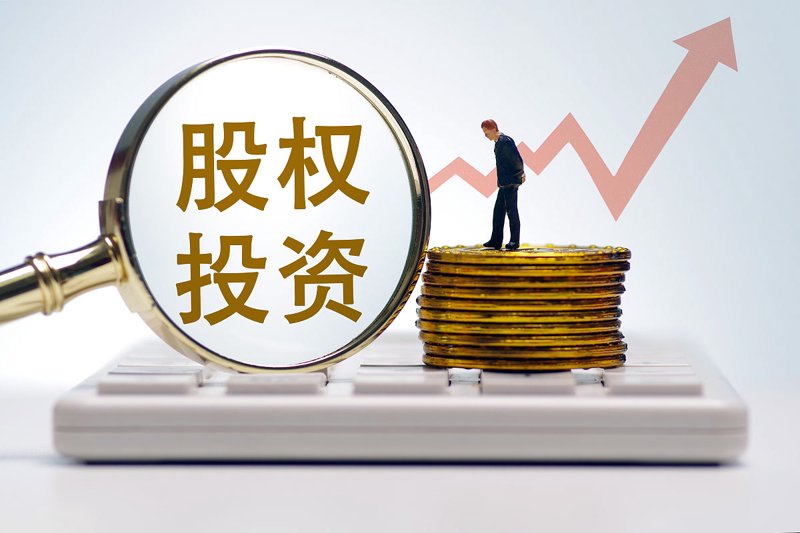 股权投资：资本撬动创新的力量